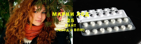 стаф Алексин