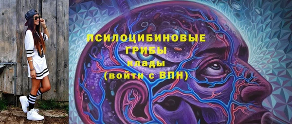 крисы Алзамай