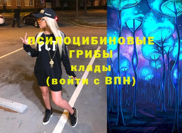 крисы Алзамай