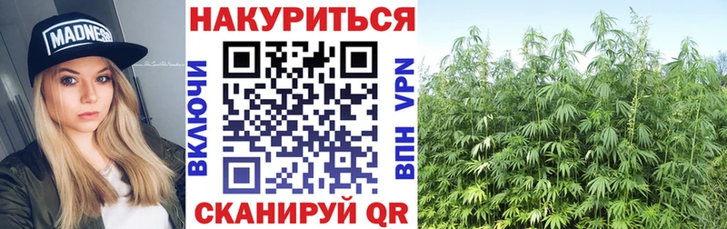 Конопля семена  где продают наркотики  Муравленко 